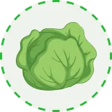 整合全球体育资源 - 必赢体育APP