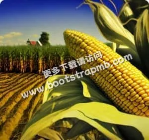 全天候在线服务，随时随地支持您 - 必赢体育APP
