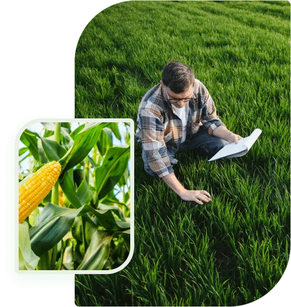 深度分析，赋能体育爱好者 - 必赢体育APP
